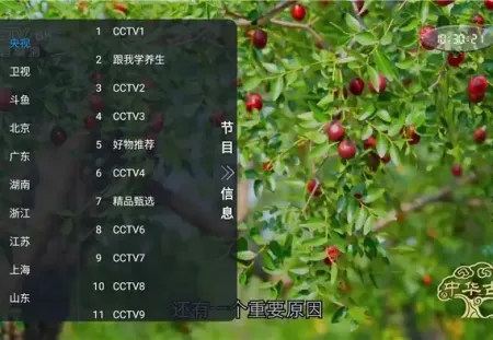 非凡TV直播 v1.0.2：电视直播软件介绍