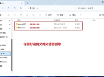 软硬专业通用Switch大气层 1.10.1系统+21.2.0特斯拉固件升级图文教程 附Switch游戏资源
