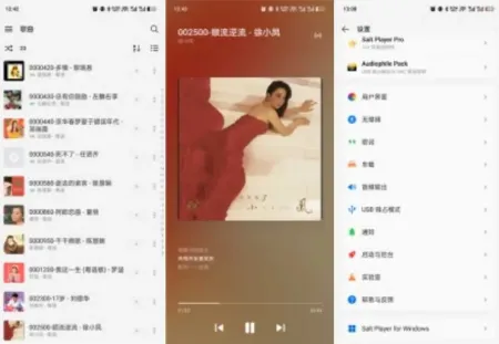 Salt Player（椒盐音乐）12.1.1 本地音乐播放器