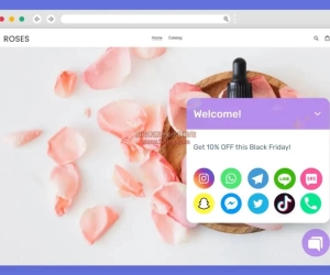 WordPress 网页在线客服聊天插件 – ChatyPro v3.4.9