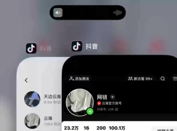 全网唯一抖音模拟器开源
