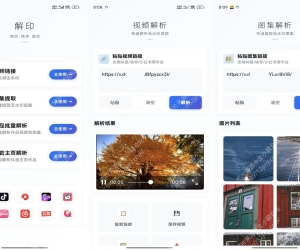 解印V2.3 手机短视频解析去水印处理