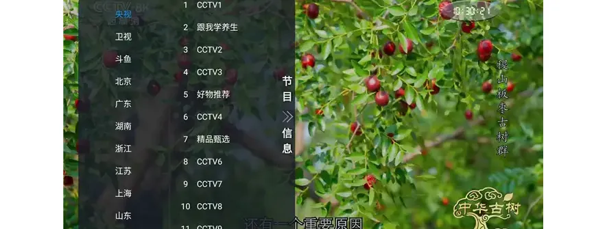 非凡TV直播 v1.0.2：电视直播软件介绍