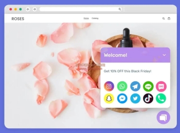 WordPress 网页在线客服聊天插件 – ChatyPro v3.4.9
