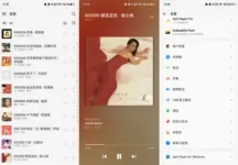 Salt Player（椒盐音乐）12.1.1 本地音乐播放器