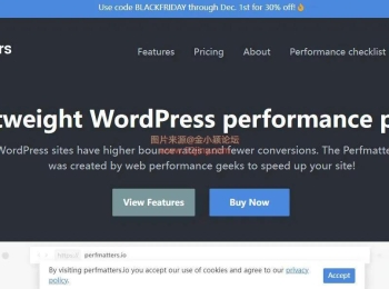 WordPress性能优化插件–Perfmatters v2.5.6 优化版下载