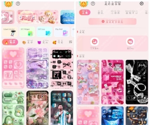 主题大全v1.0.0.461会员版  海量主题壁纸图标包等资源