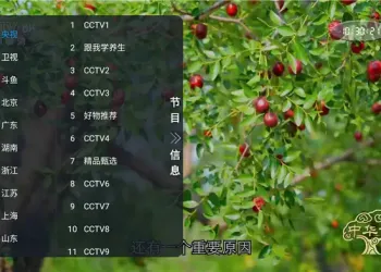 非凡TV直播 v1.0.2：电视直播软件介绍