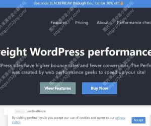 WordPress性能优化插件–Perfmatters v2.5.9 优化版