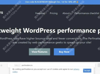WordPress性能优化插件–Perfmatters v2.5.9 优化版