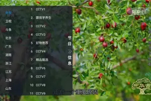 非凡TV直播 v1.0.2：电视直播软件介绍