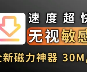 2026最新磁力下载神器，一键解析，在线秒播！