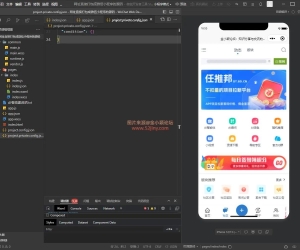 最新网址直接打包装封成微信小程序源码