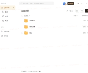 【PC】迅雷12_v12.4.9.3916_精简绿色版丨专业本地VIP10 无视敏感资源【123M】