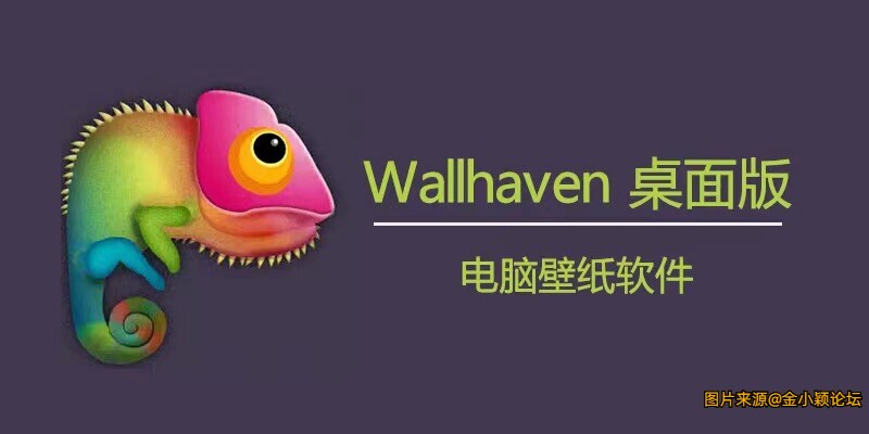 wallhaven4.4.4壁纸软件，最强壁纸软件！