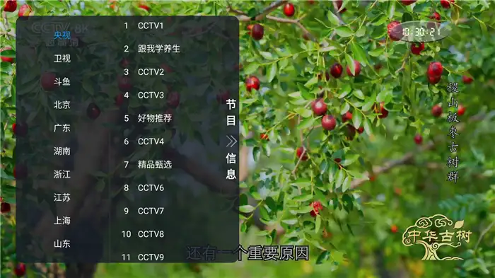非凡TV直播 v1.0.2:电视直播软件介绍