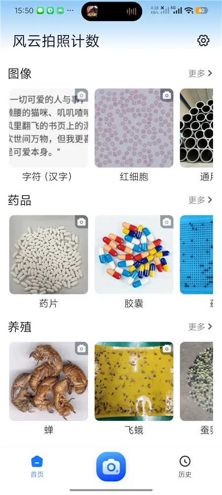 fypzjs04